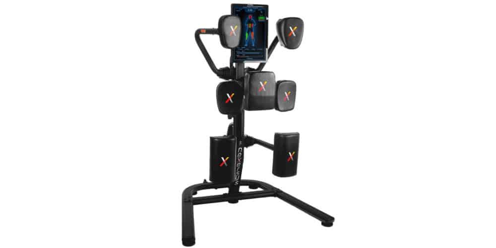 Nexersys N3 Elite Home Boxing Trainer